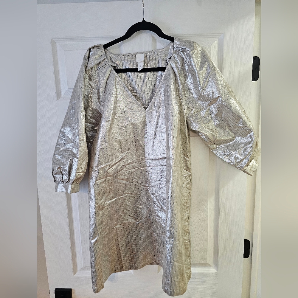 H&M Shimmering Silver Metallic Dress